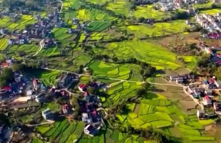 【弘揚(yáng)偉大建黨精神 開創(chuàng)歷史新偉業(yè)】百年大黨引領(lǐng)中華民族偉大復(fù)興