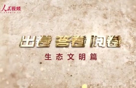 “為什么說(shuō)綠水青山就是金山銀山？”