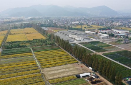 綠色轉(zhuǎn)型 green transition