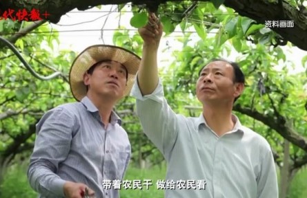 第八屆全國道德模范糜林：扎根土地 一生為農