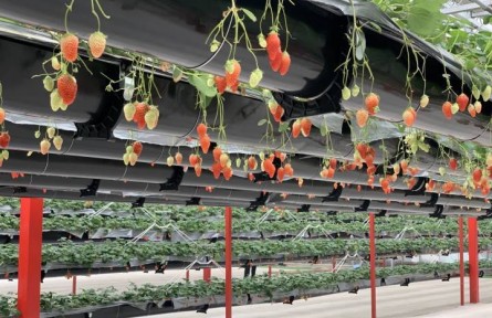 浙江杭州：催化鄉(xiāng)村“鏈”式發(fā)展 豐富經(jīng)濟業(yè)態(tài)