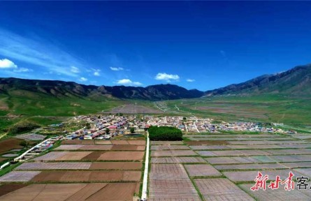 甘肅：統(tǒng)籌推進疫情防控和高標準農田建設