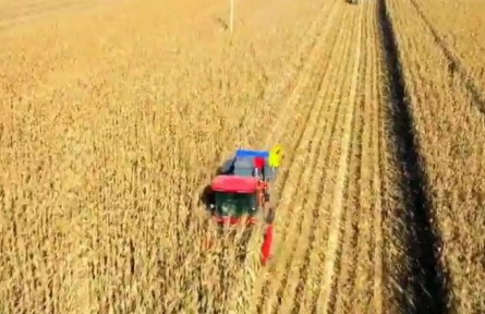 ?  吉林：加強糧食產(chǎn)后配套服務(wù) 爭當(dāng)糧食安全“壓艙石”