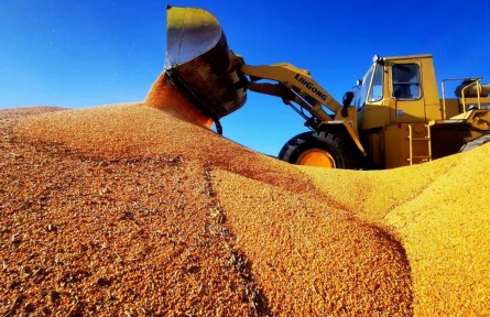 北大荒集團(tuán)加快糧食統(tǒng)營進(jìn)程保障國家糧食安全