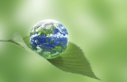 科技名詞 | 聯(lián)合國人類環(huán)境會議