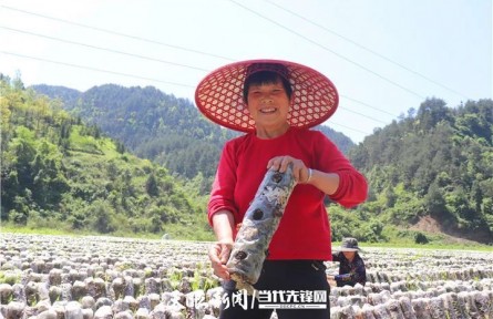 貴州銅仁：發(fā)展生態(tài)循環(huán)農(nóng)業(yè) 促進(jìn)增產(chǎn)增收