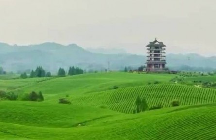 【新征程開(kāi)局“十四五”】增減之間 綠色成為高質(zhì)量發(fā)展鮮明底色