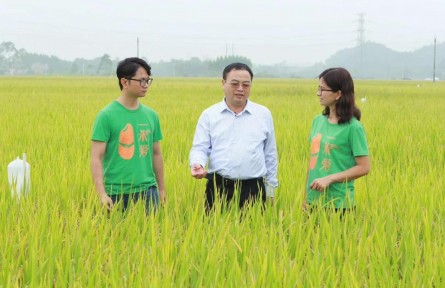 唐湘如：讓國產香米成增收利器