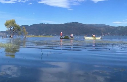 云南：打響“湖泊革命”攻堅戰(zhàn) 九湖保護治理持續(xù)發(fā)力