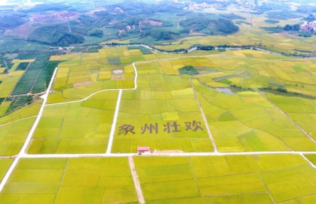 廣西：圈定富硒土壤為全國(guó)之最