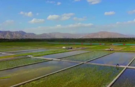 寧夏：牢記殷殷囑托 守護(hù)巍巍青山 保衛(wèi)滔滔黃河