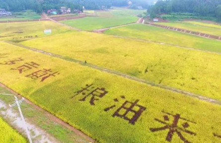 四川巴中恩陽(yáng)區(qū)：智慧種地 藏糧于地