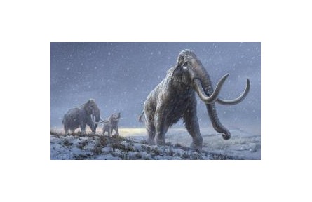 165萬年前“最古老”DNA如何被發(fā)現(xiàn)？