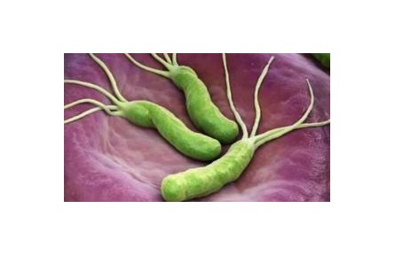 “殺幽牙膏”真能殺滅幽門螺旋桿菌嗎？