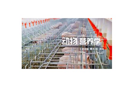1.1.1 動物營養(yǎng)學的基本內(nèi)涵及對動物生產(chǎn)的指導(dǎo)作用
