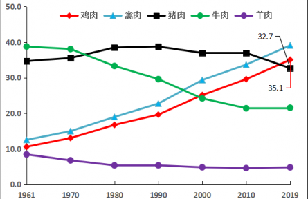 肉雞種業(yè)的昨天、今天和明天