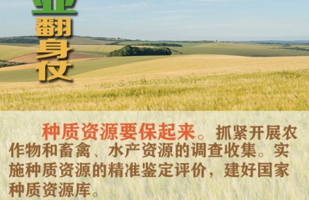 打好種業(yè)翻身仗 看農(nóng)業(yè)農(nóng)村部怎么說(shuō)