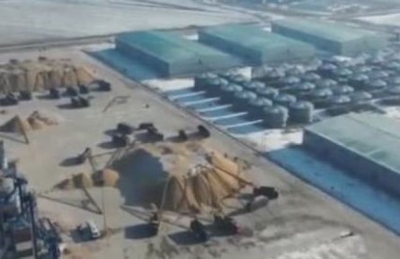 黑龍江：全面開秤 火熱收糧