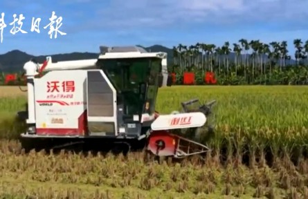 超額完成袁隆平3000斤目標任務(wù)！海南雙季稻畝產(chǎn)創(chuàng)紀錄