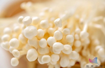 平時(shí)吃的金針菇，其實(shí)多是銀針菇？?jī)烧哂泻尾煌?></a></td>
<td align=