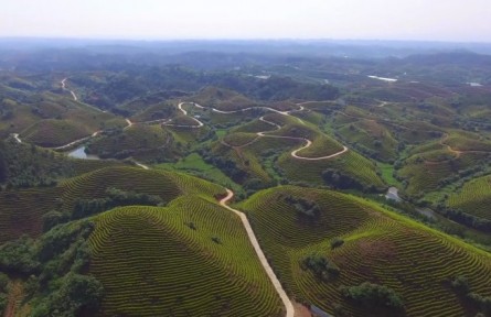 江西萬安：“林長(zhǎng)+”加出“金山銀山”