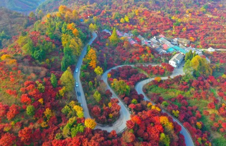 浙江：四明山風景惹人醉