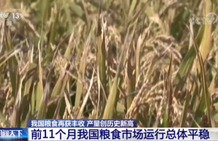 農(nóng)業(yè)農(nóng)村部：我國糧食市場運行總體平穩(wěn)