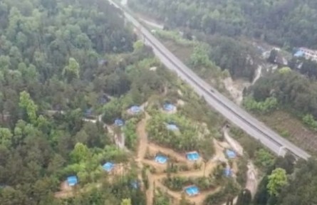 貴州紫云：發(fā)展林下經濟 讓綠水青山變成金山銀山