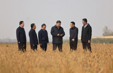中央農(nóng)村工作會(huì)議部署糧食安全，總書記為何強(qiáng)調(diào)“責(zé)任”兩個(gè)字