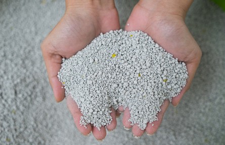 科技名詞 | 蒙脫石montmorillonite