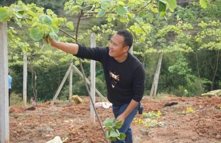 四川犍為嚴(yán)幫洪：返鄉(xiāng)創(chuàng)業(yè) 化身致富“領(lǐng)頭雁”