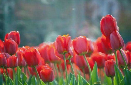 長安論道 | 做對了做好了，才叫做實(shí)了