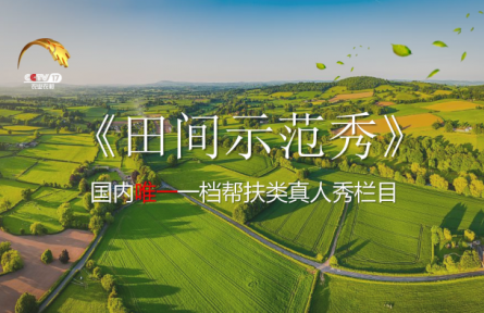 CCTV-17農(nóng)業(yè)農(nóng)村頻道-《田間示范秀》欄目