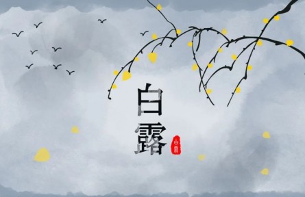 白露，繁華季節(jié)的謝幕
