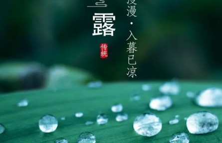 寒露，露似真珠月似弓