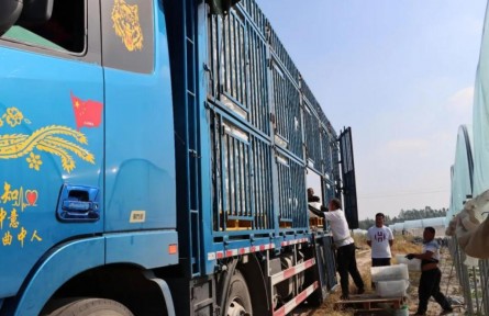 海南昌江： 特色“訂單農業(yè)”助力農民增收致富