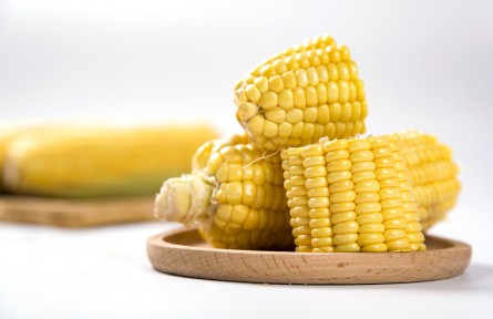 辟謠 | 警惕這4種“偽粗糧”，很多人都沒有吃對！