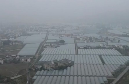 【新春走基層·總書(shū)記到過(guò)我們家】潭頭村里的新年新“硒”望