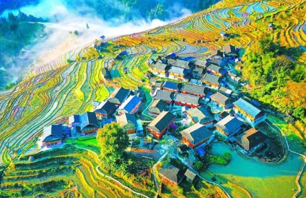 呵護(hù)好“地球之腎”！濕地保護(hù)法將正式實(shí)施 我國(guó)生態(tài)狀況持續(xù)改善