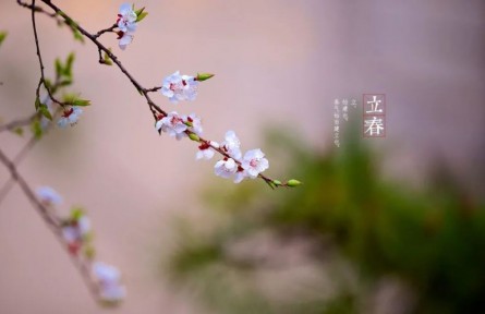 立春，春到人間草木知