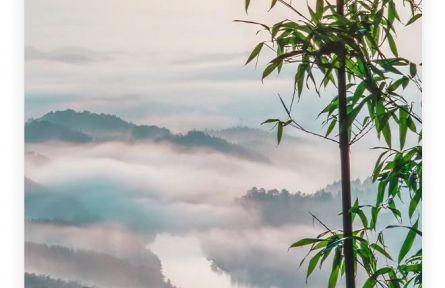 名人名言 | 孔子：其身正，不令而行；其身不正，雖令不從