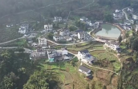 云南綏江：家鄉(xiāng)大發(fā)展 留住返鄉(xiāng)人