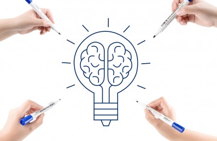 科普 | 在22世紀依舊是前沿科學？大腦圖譜結構了解一下！