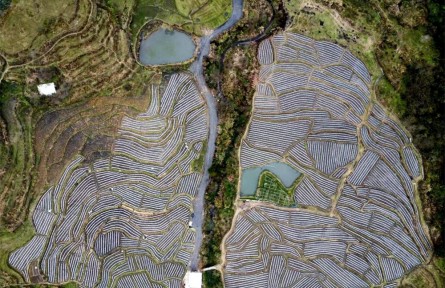 福建永定洪源村：地盡其用 走出致富路