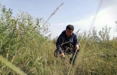 劉海江：十余載初心不改，做好生態(tài)環(huán)境保護(hù)的“眼睛”和“耳朵”