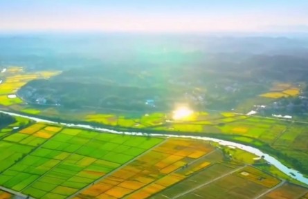 湖南：推行田長制 守護“飯碗田”