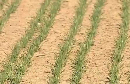 備春耕 保供給 穩(wěn)住農(nóng)業(yè)基本盤(pán)