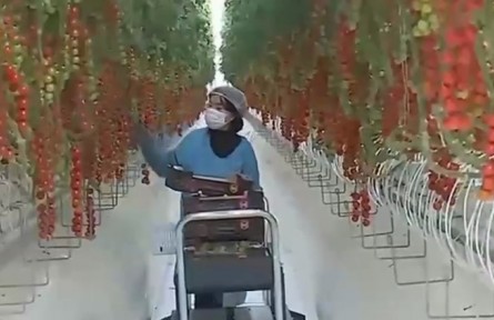 【奮進新征程 建功新時代】甘肅：龍頭企業(yè)帶動發(fā)展 促進產(chǎn)業(yè)提質(zhì)增效