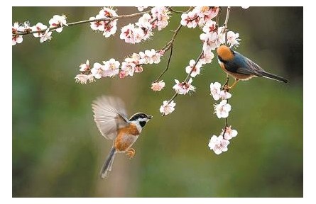 二十四節(jié)氣：古詩詞里的“時間美”