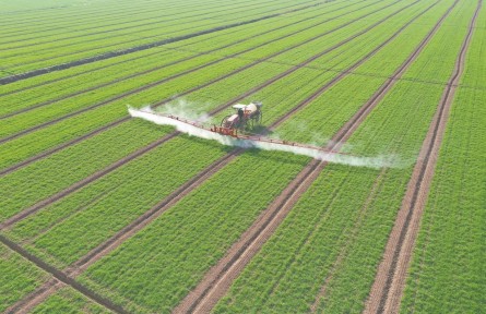 安徽：春耕備耕有序展開(kāi) 不誤農(nóng)時(shí)不負(fù)春